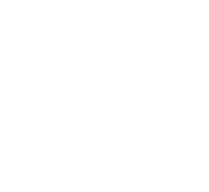 20+ Years Experience Badge